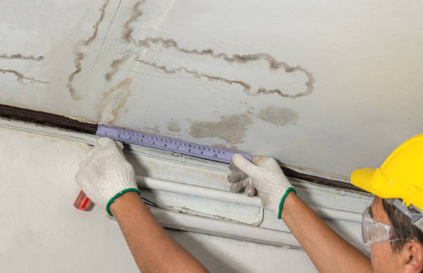 Reliable Water Damage contractor in Hooper, UT by Water Damage Irwin